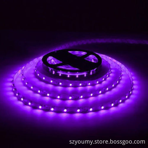 Purple 5050 60 LEDs/m 5m 300-LED Waterproof Light Strips, Christmas Party Decoration, OEM Orders
